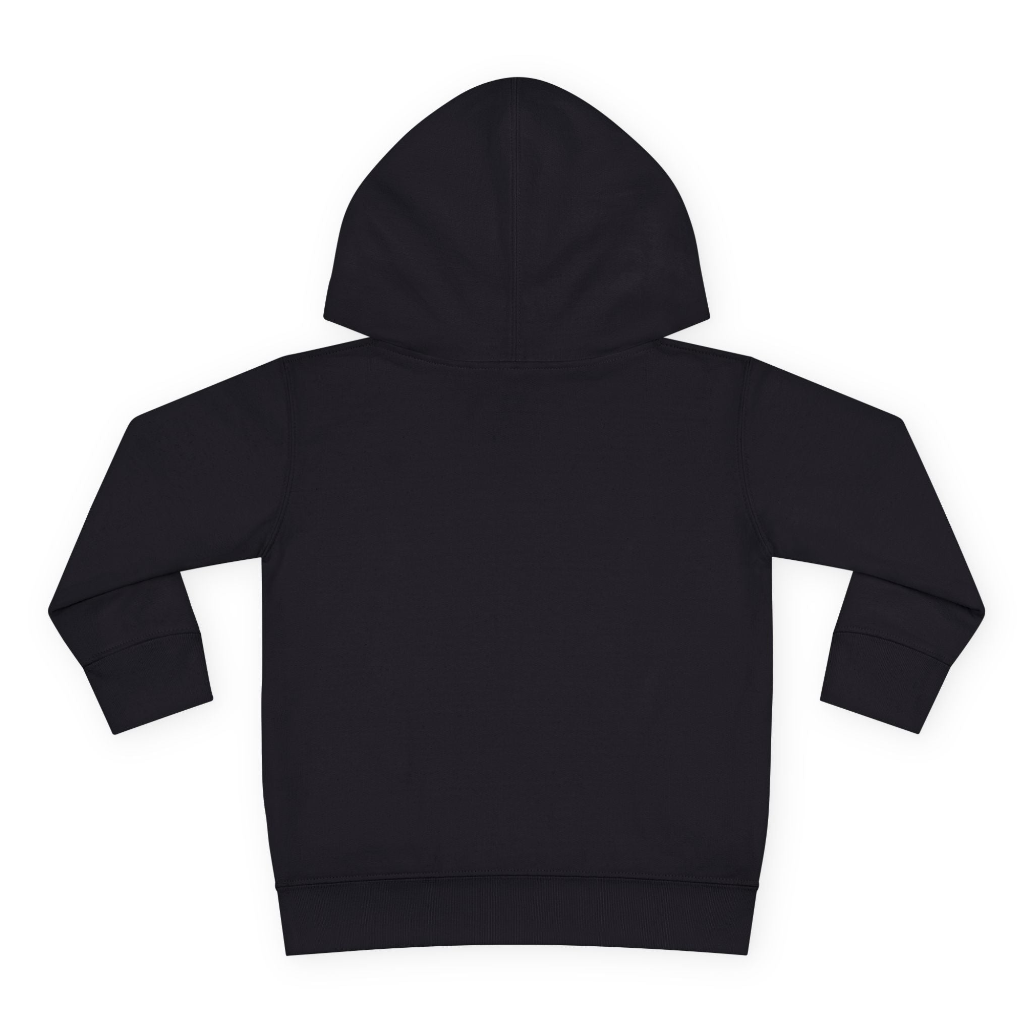 Toddler Hoodie – "Boy Oh Boy I'm Loud" Cute Duck Pullover