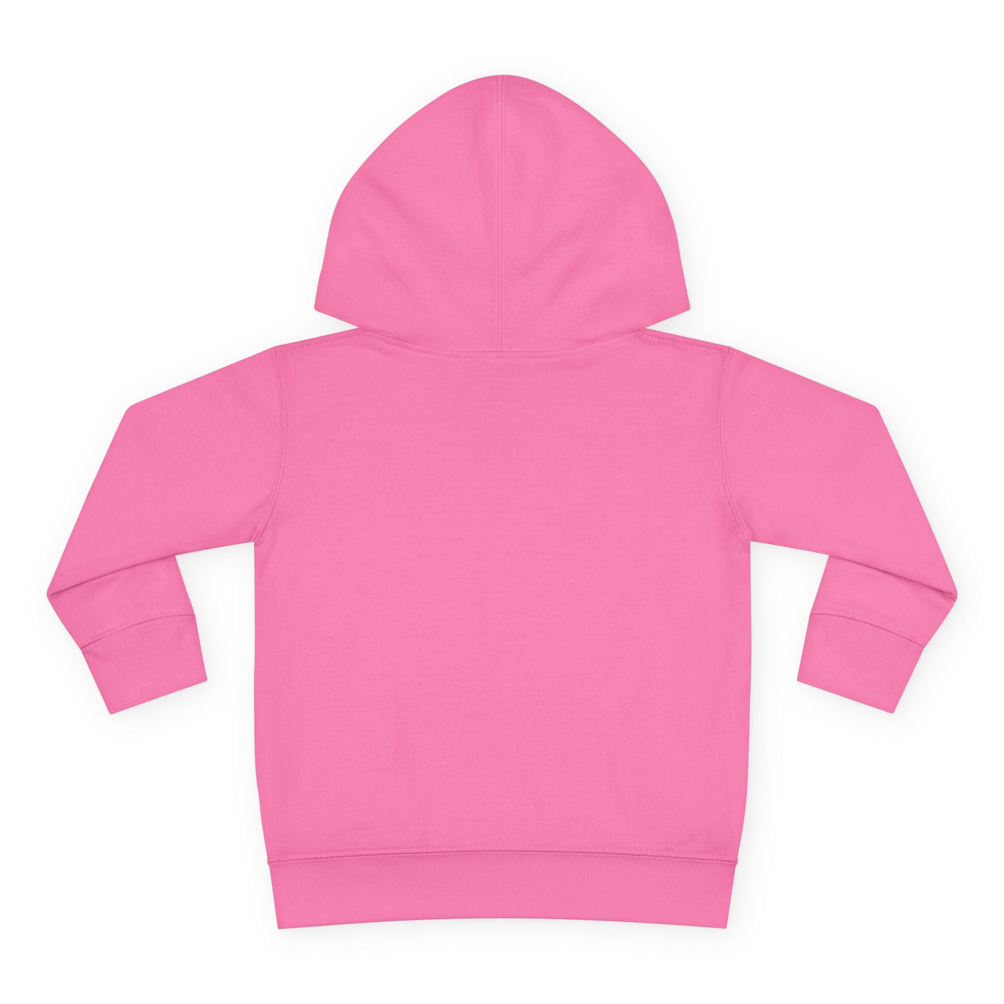 Toddler Hoodie – "Boy Oh Boy I'm Loud" Cute Duck Pullover