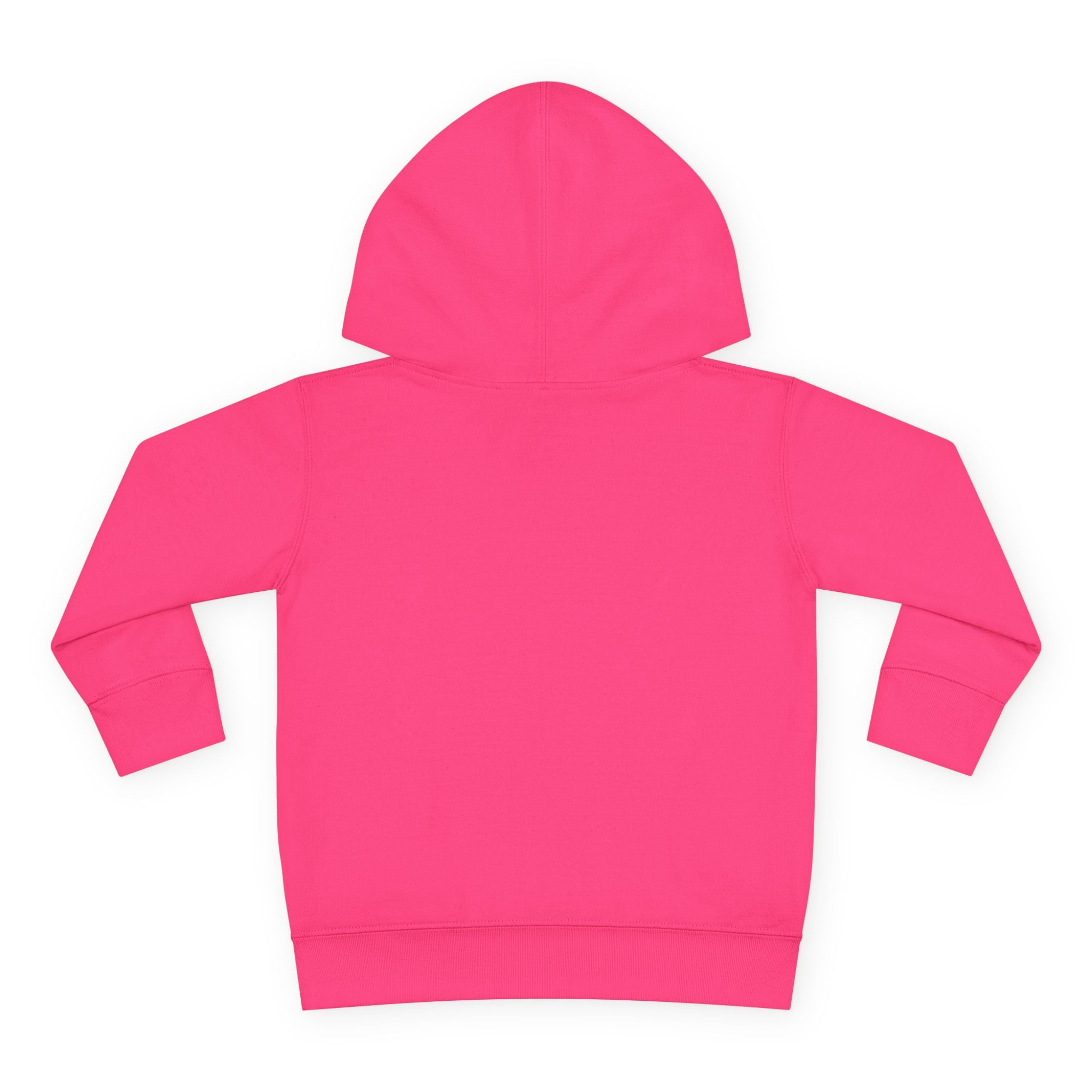 Toddler Hoodie – "Boy Oh Boy I'm Loud" Cute Duck Pullover