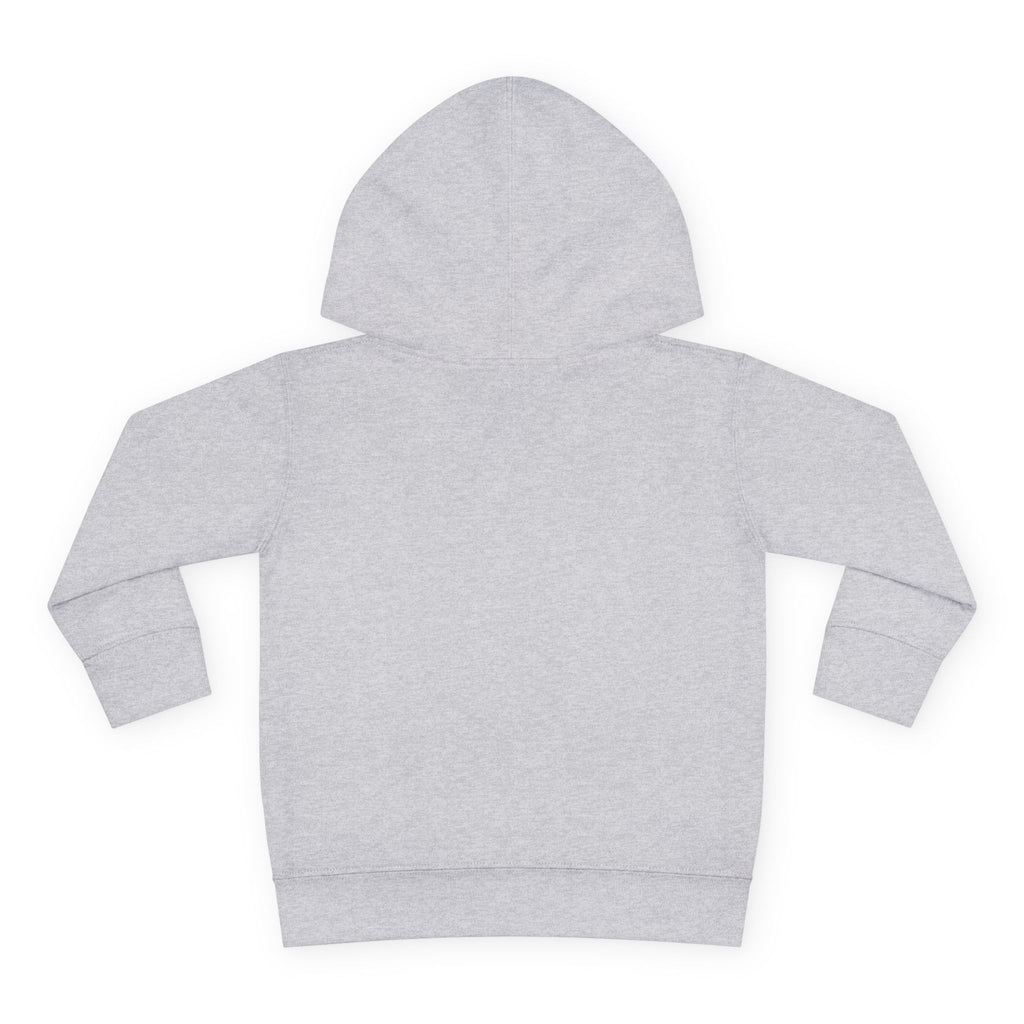 Toddler Hoodie – "Boy Oh Boy I'm Loud" Cute Duck Pullover