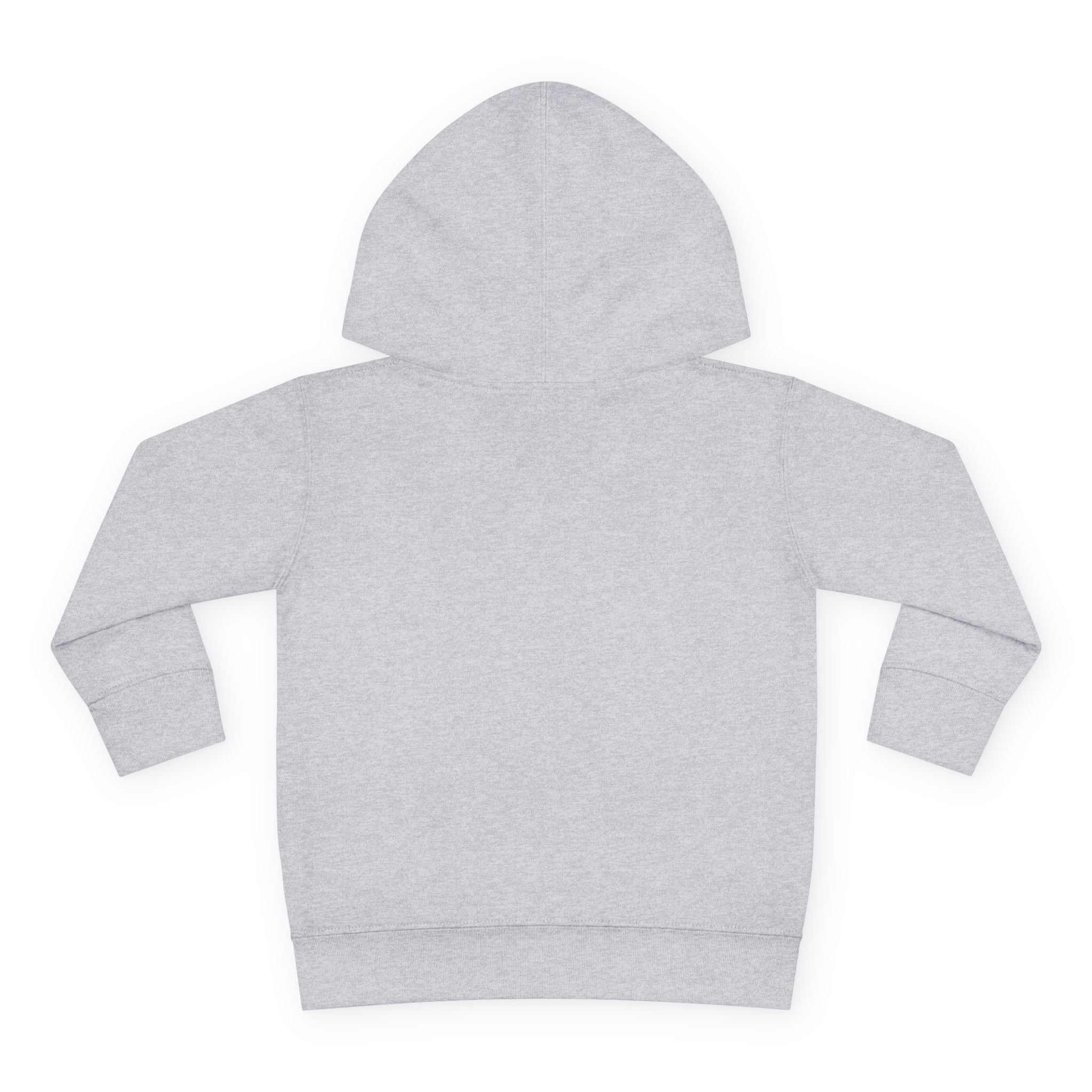 Toddler Hoodie – "Boy Oh Boy I'm Loud" Cute Duck Pullover