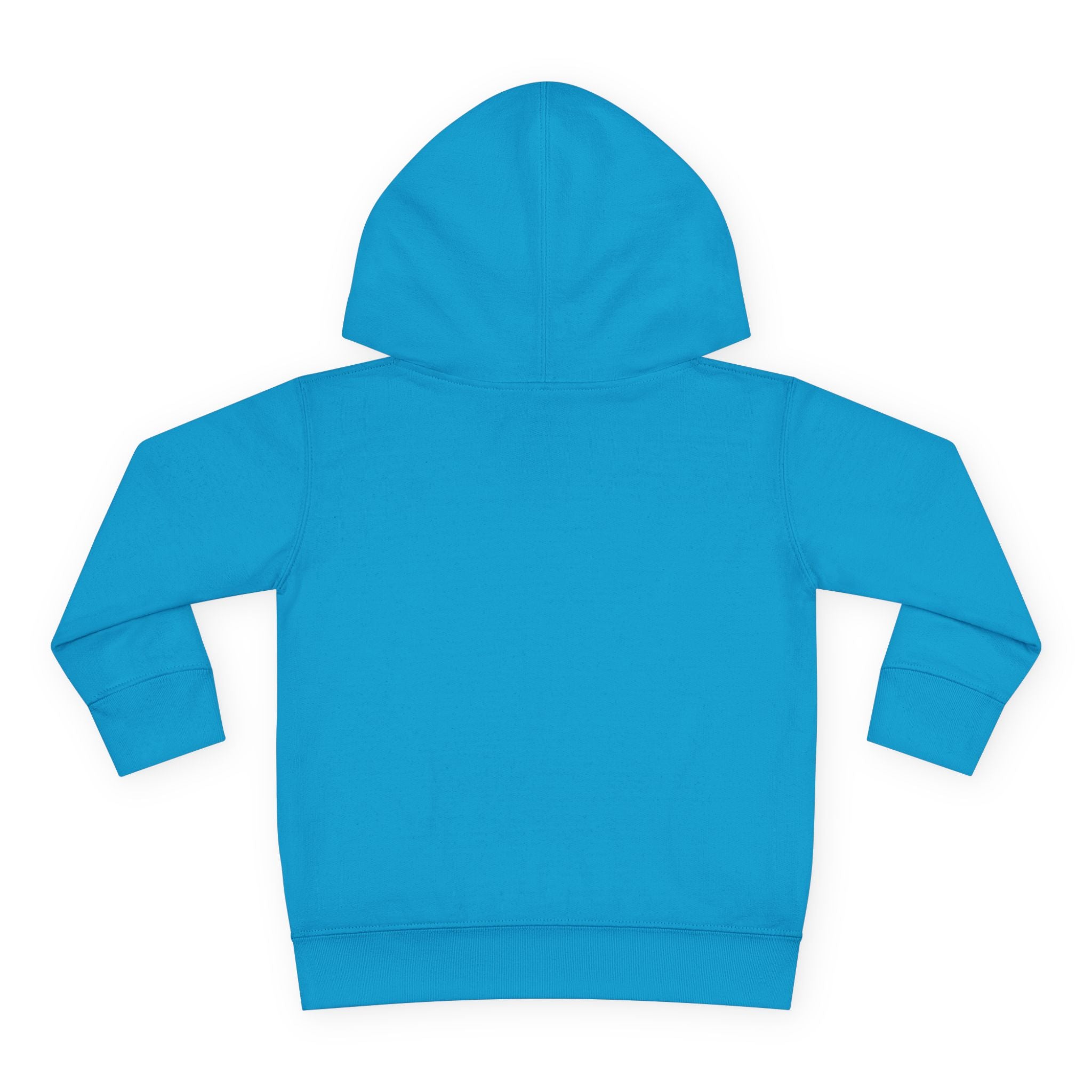 Toddler Hoodie – "Boy Oh Boy I'm Loud" Cute Duck Pullover