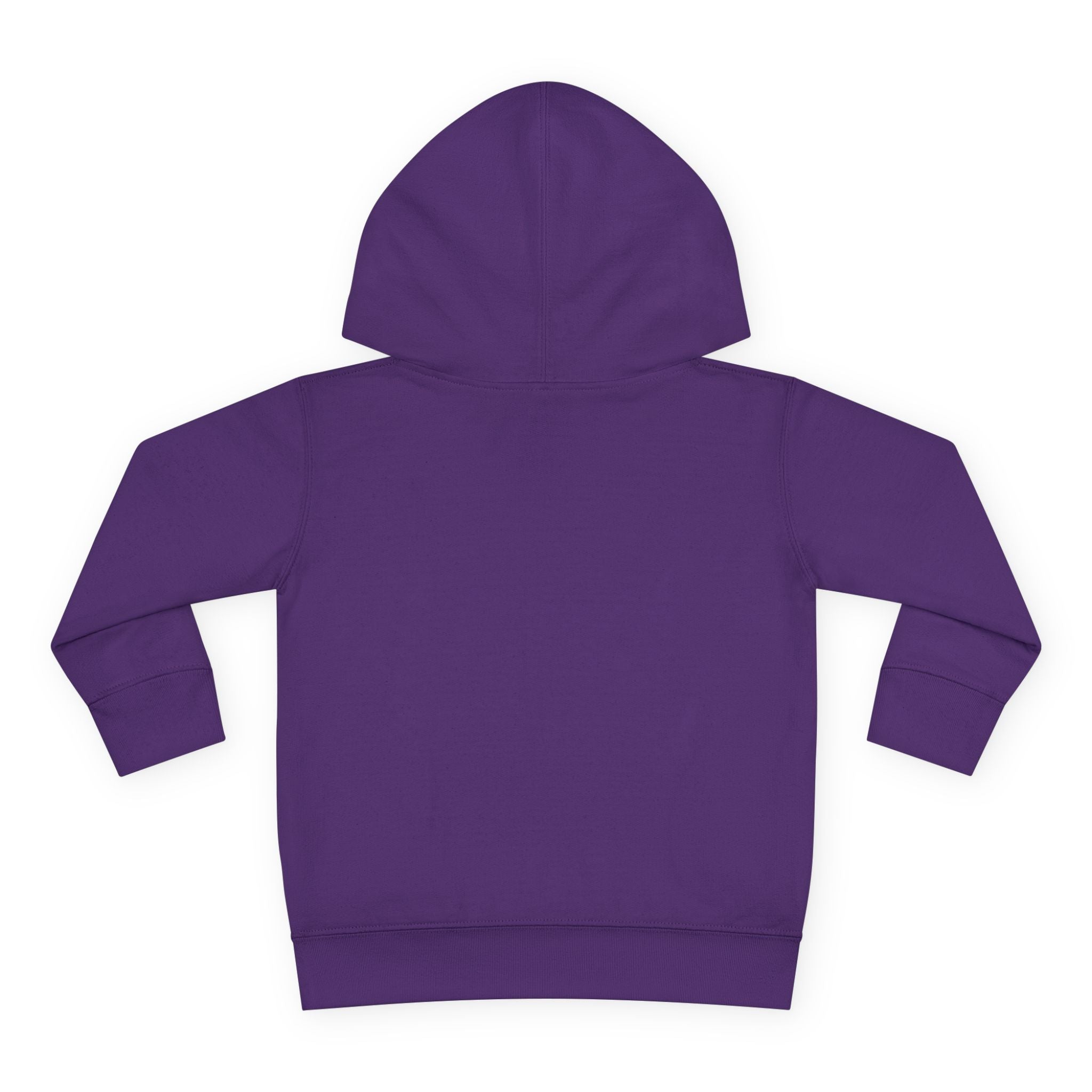 Toddler Hoodie – "Boy Oh Boy I'm Loud" Cute Duck Pullover